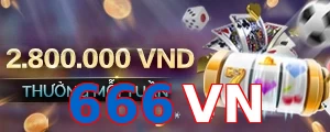 666VN