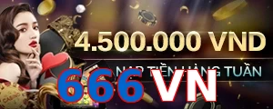 666VN