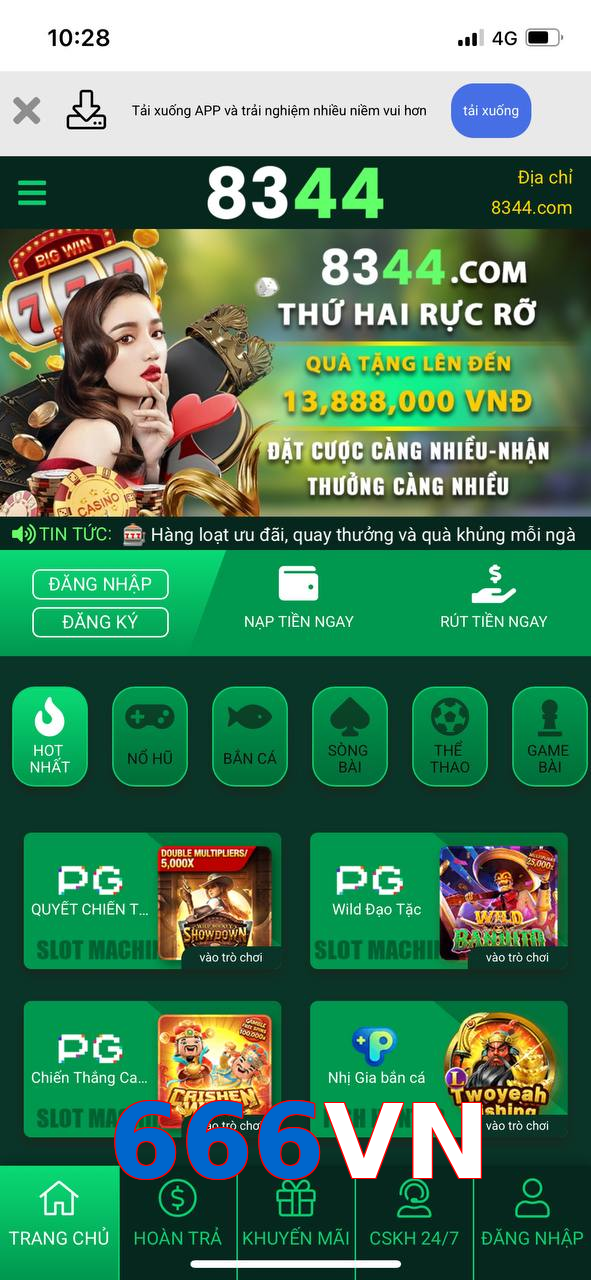 666VN