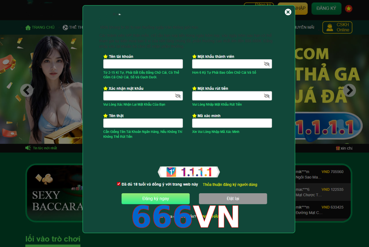 666VN